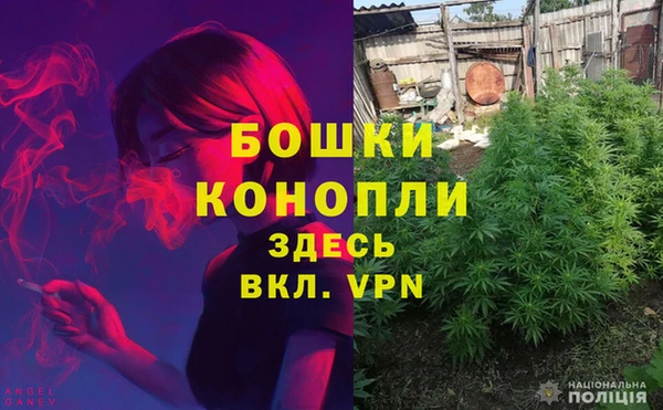 герыч Арсеньев