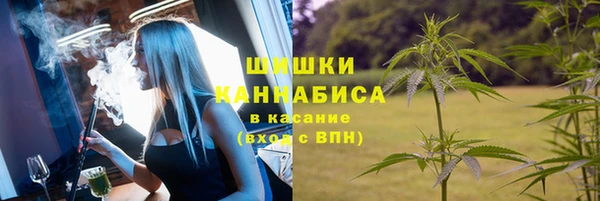 винт Аркадак