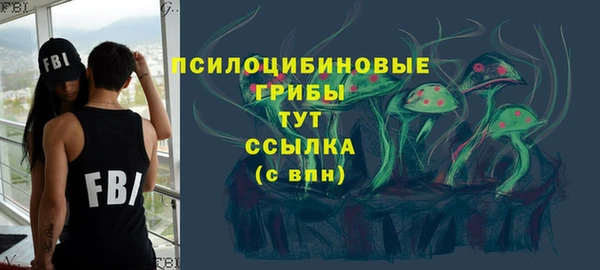 герыч Арсеньев