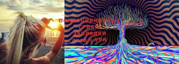 винт Аркадак